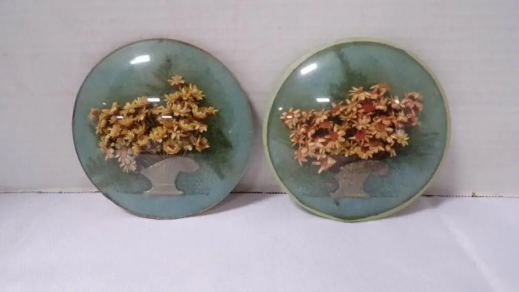 Vintage Convex Bubble Glass Floral Wall Plaques