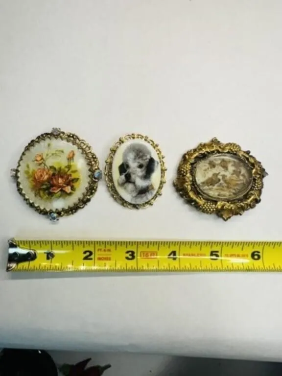 3 Brooches w/ Glass & gold tone frame, Flowers,