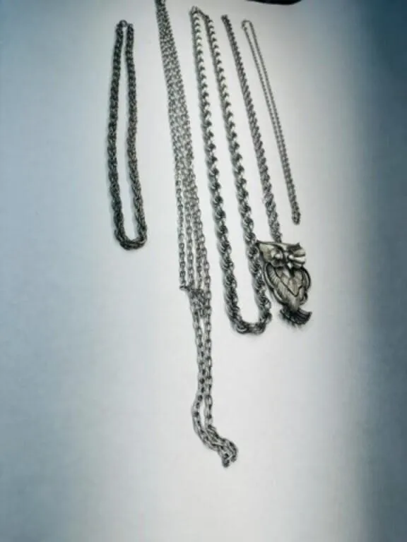 5 Silver tone Necklaces, longest is 36" Sarah Cov