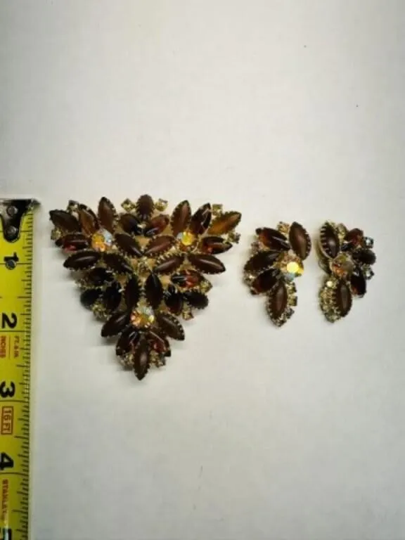 Julianna? Large Root beer Brooch & Earrings