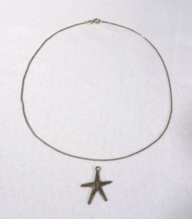 Vintage Sterling Silver Box Chain & Star Pendant