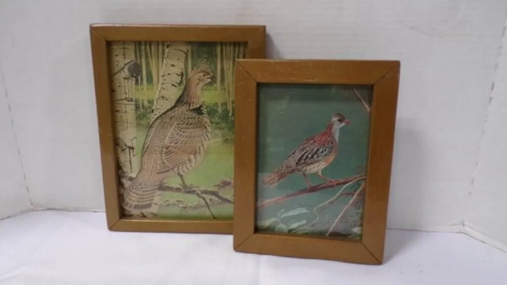 2 Vintage Personalized Framed Prints of Game Birds
