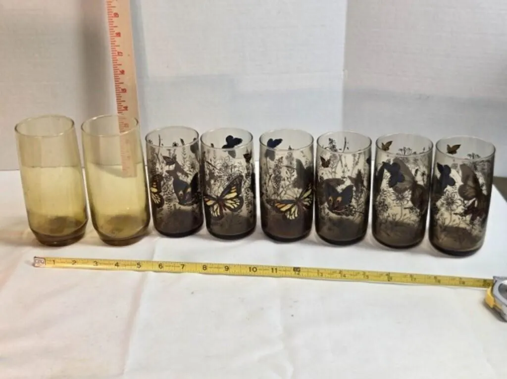 Amber plastic case & 8 glasses