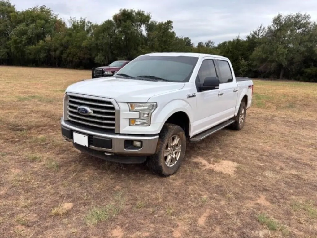 2015 Ford 1/2 Ton Pickup