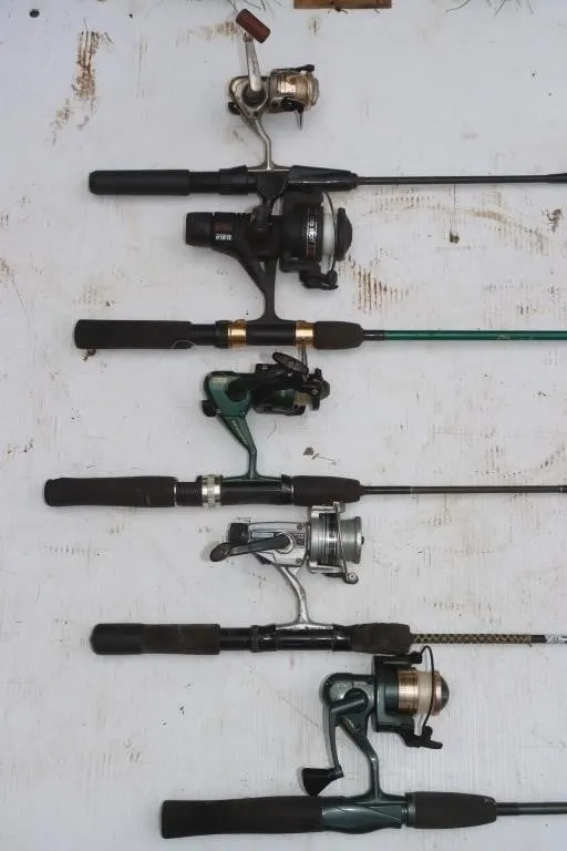 5 Fishing Rods w/ Spinning Reels