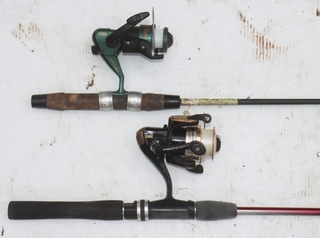 2 Fishing Rods w/ Spinning Reels