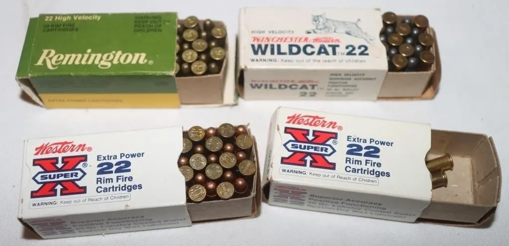 80 Rounds Remington & Winchester .22 LR