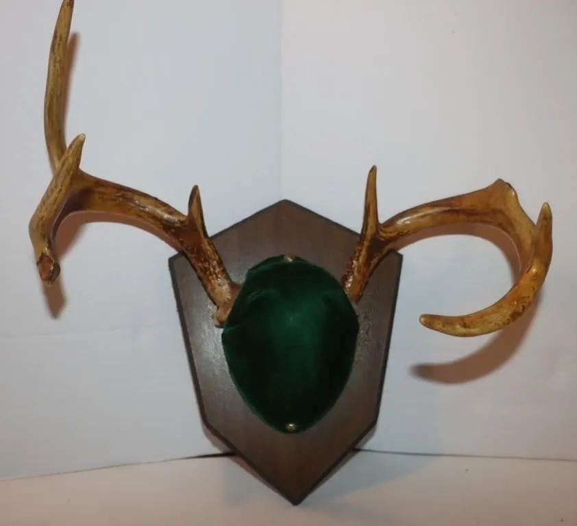 Deer Antler Wall Mount