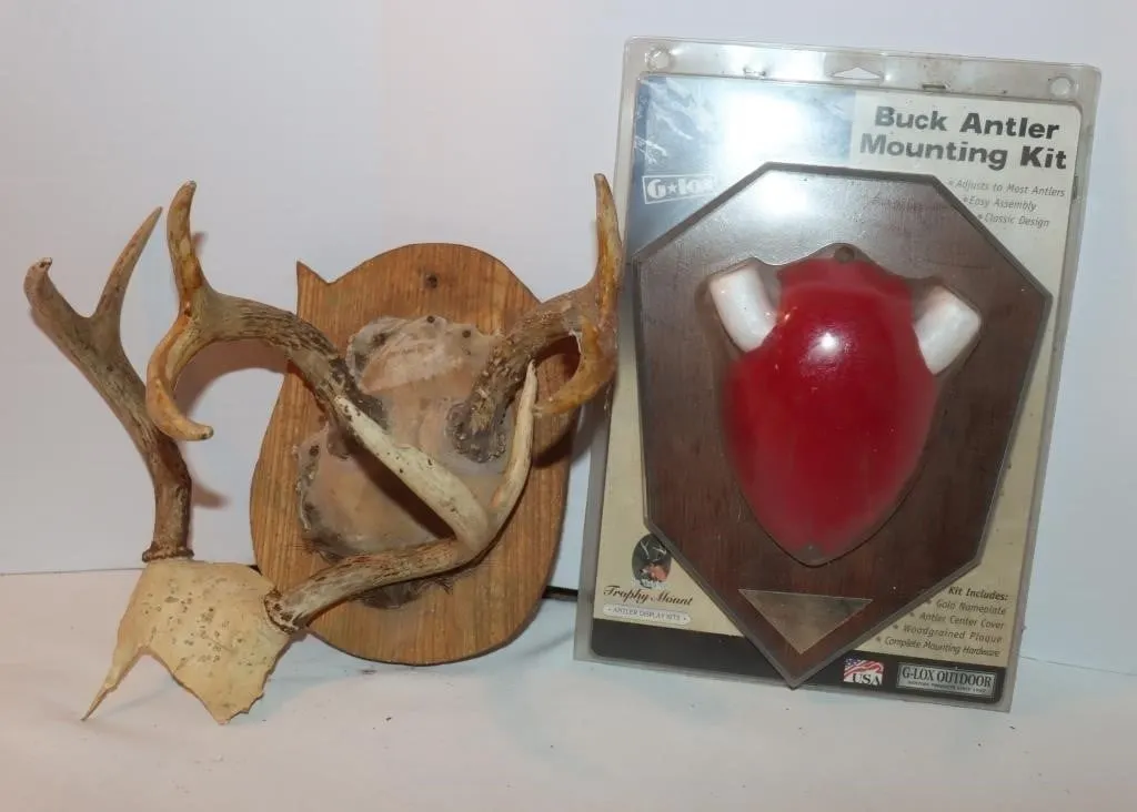 Buck Antler Mounting Kit, Deer Antlers and Mount