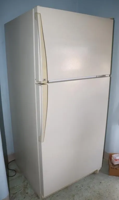 Amana Refrigerator MO TC18VL WORKS