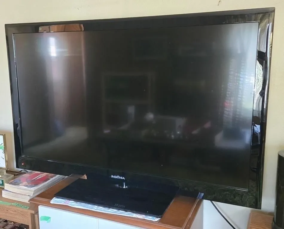 Insignia TV Model NS-55L260A13, Powers On