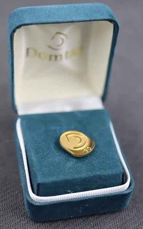 10K Gold Domtar 30 Year Service Pin