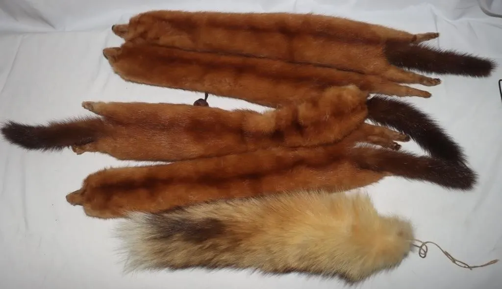 Vintage Fur Stole w/ Fox Tail Accessory