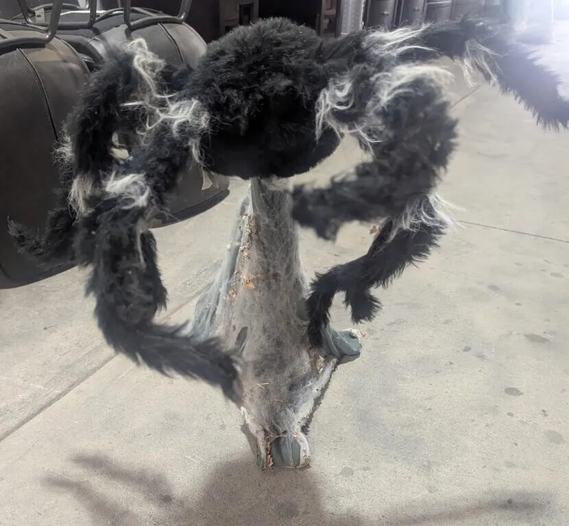 Battery Powered Large Halloween Spider. Untested.