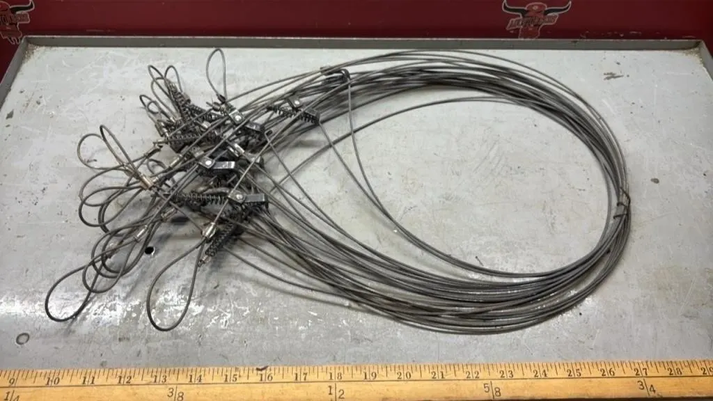 Quantity of Coyote Snares.