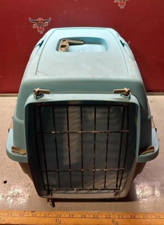 Plastic Pet Taxi 11.5”x19”x12”.