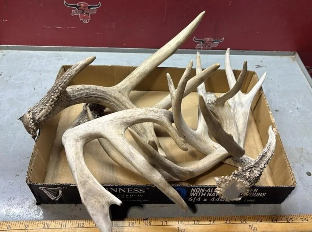 Tray of Deer Sheds.