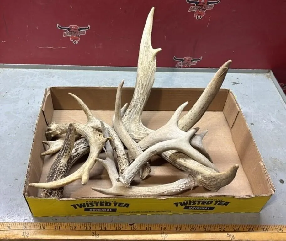 Tray of Deer Sheds.