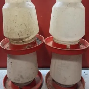 4 Little Giant Chicken Water Containers