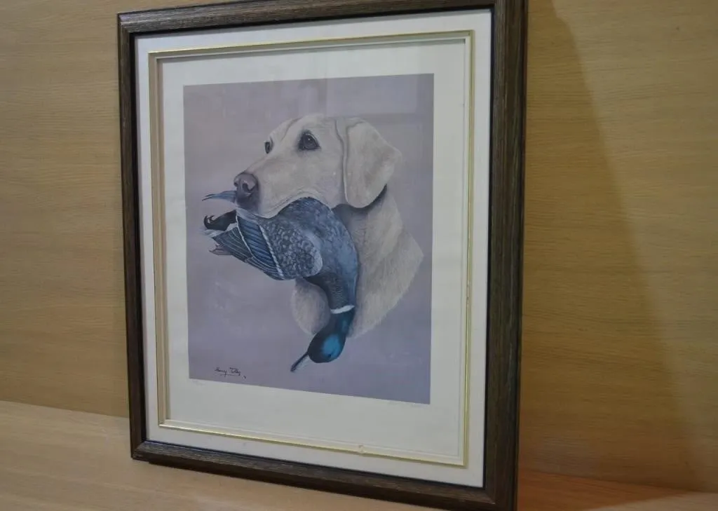 Signed limited edition print titled Yellow Lab