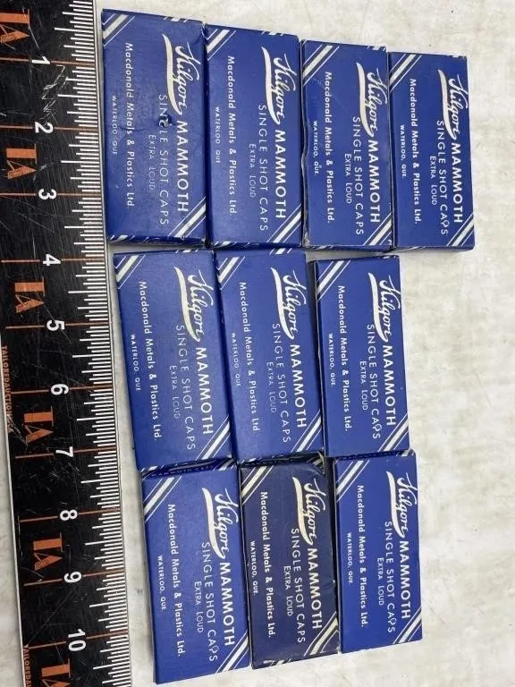 10 Kilgore Mammoth Single Shot Cap Boxes