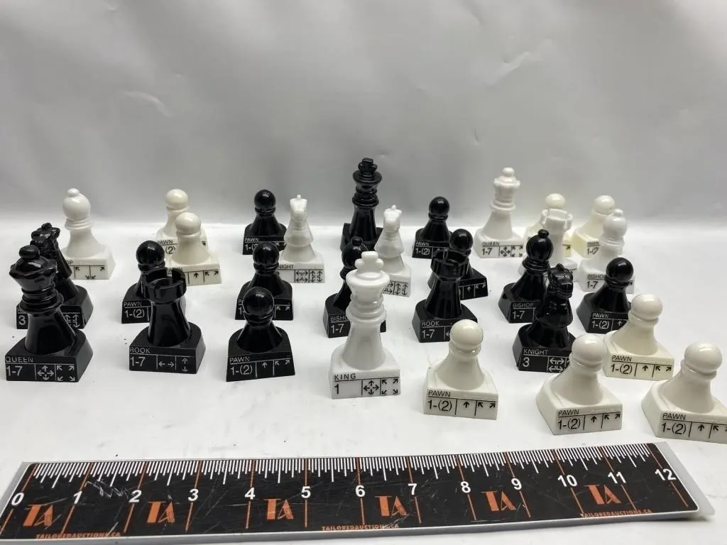 Chess Set Pieces with Move Instructions,