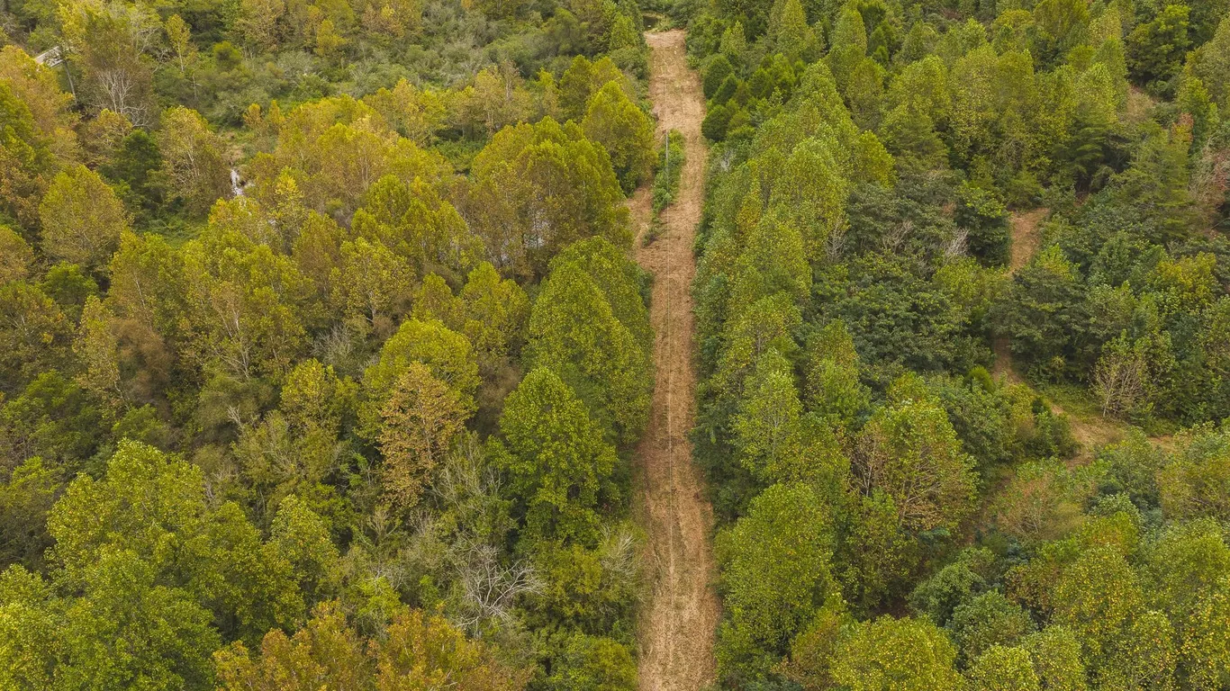 125 Unrestricted Acres. Year-Round Creek. Mountai