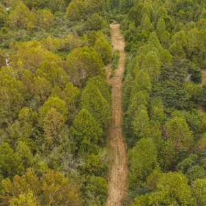 125 Unrestricted Acres. Year-Round Creek. Mountai