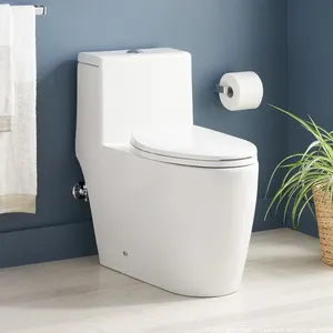 Signature Hardware Sitka 1.28 GPF One Piece Elongated Skirted Chair Height Toilet MSRP $637 Appears New in Box