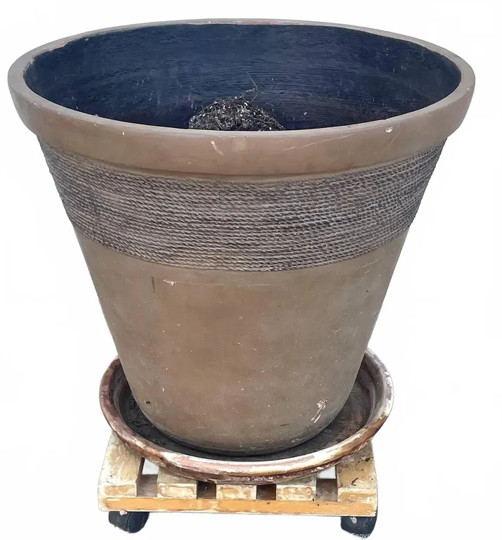 Large Outdoor Planter With Saucer and Dolly
