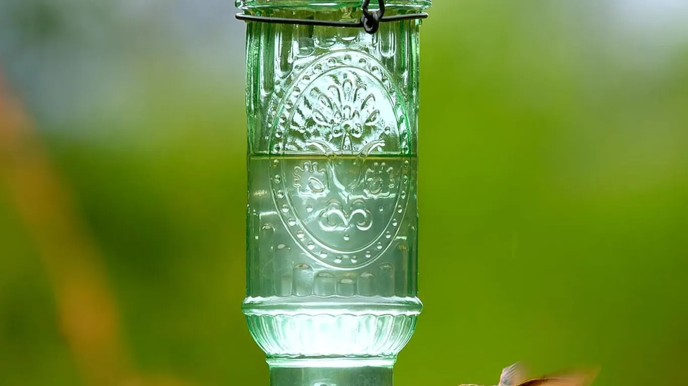 (Brand New) More Birds Vintage Glass Hummingbird Feeder, 20 oz. Capacity - MSRP $24.99 - SEE LINK