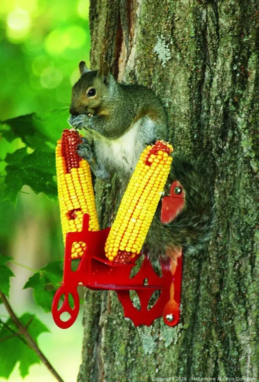 (Brand New) Stokes Select Tractor 2-Cob Squirrel Feeder, Red - MSRP $32.99 - SEE LINK