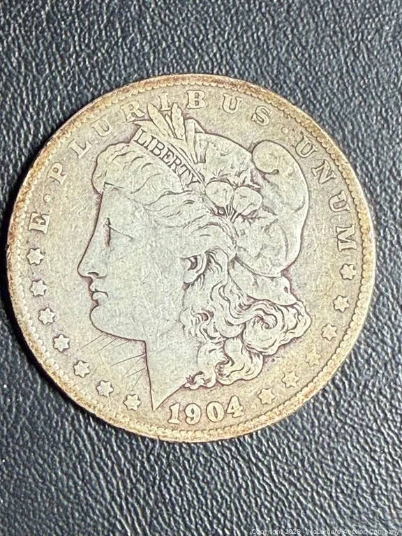 1904 Morgan Dollar