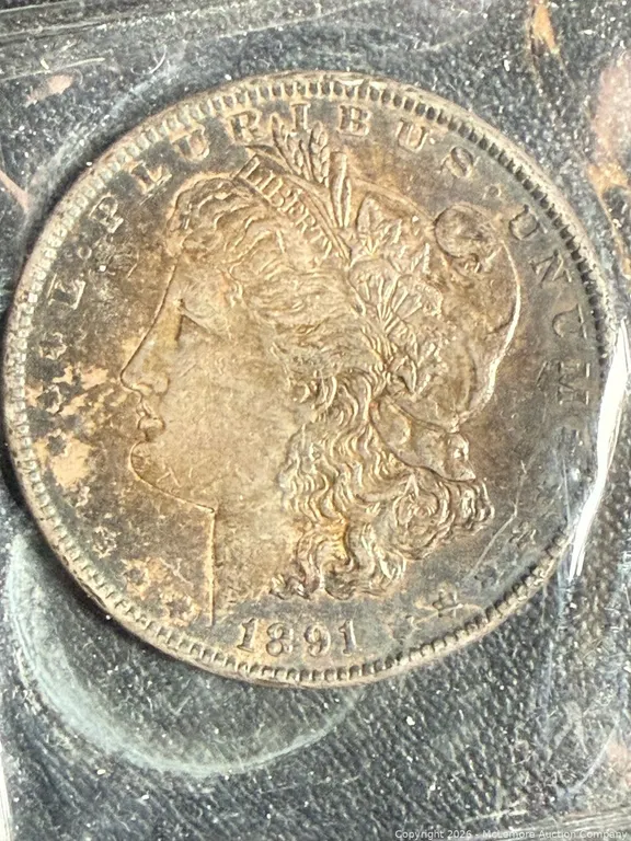 1891 Morgan Silver Dollar