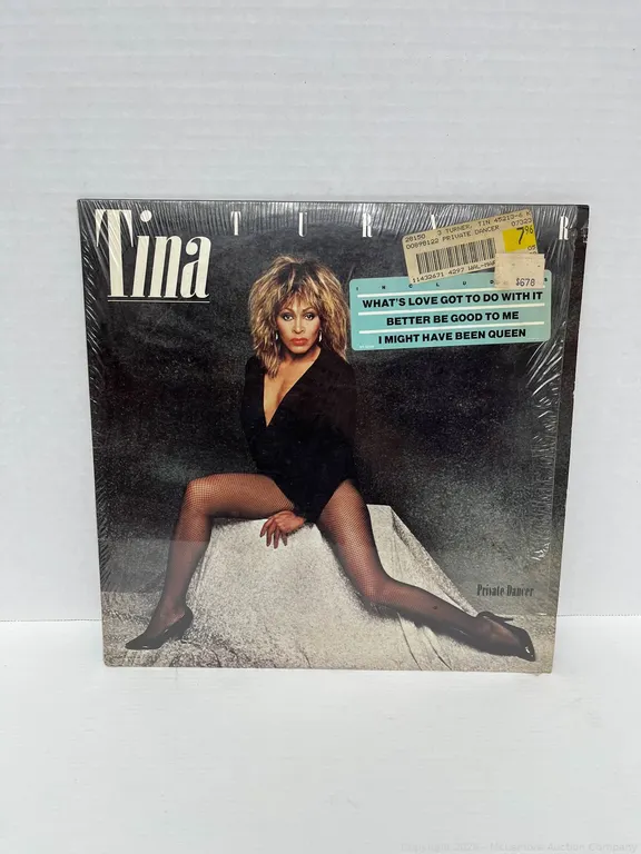 Tina Turner - Private Dancer