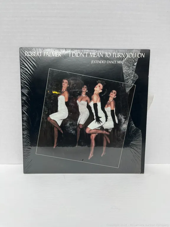 Robert Palmer - I Didn't Mean To Turn You On