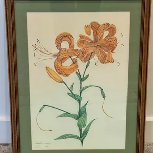 Signed and Numbered Orange Lily Botanical Print