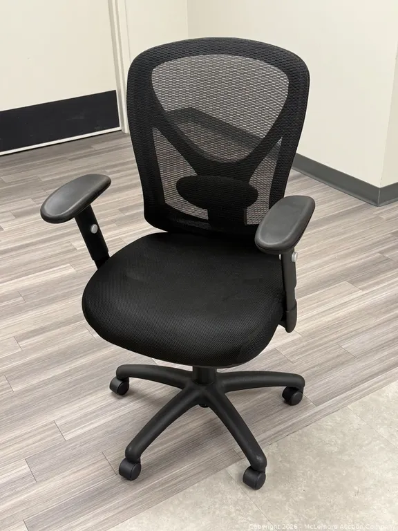 Ergonomic Office Chair, Adjustable Height