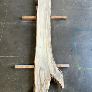(1) Hackberry Slab, Kiln-dried, Live-edge