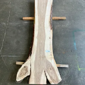 (1) Hickory Slab, Kiln-dried, Live-edge