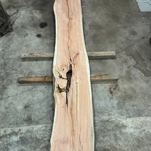 (1) Honey Locust Slab, Kiln-dried, Live-edge