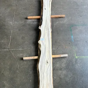 (1) Hackberry Slab, Kiln-dried, Live-edge