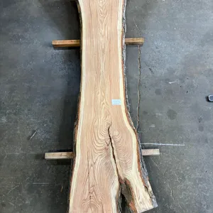 (1) Honey Locust Slab, Kiln-dried, Live-edge