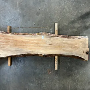 (1) Sycamore Slab, Kiln-dried, Live-edge