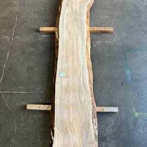 (1) Maple Slab, Kiln-dried, Live-edge