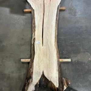 (1) Maple Slab, Kiln-dried, Live-edge