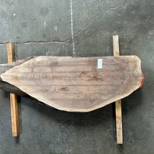 (1) Black Walnut Oval Slab, Kiln-dried, Live-edge