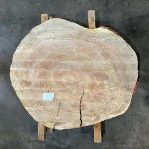 (1) Maple Cookie Slab, Kiln-dried, Live-edge(1) Maple cookie slab, kiln-dried, live-edge, machine surfaced, measuring 2.24" T x 38"-41" in diameter