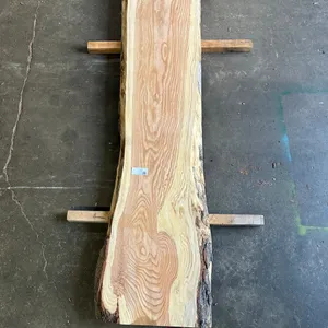 (1) Honey Locust Slab, Kiln-dried, Live-edge
