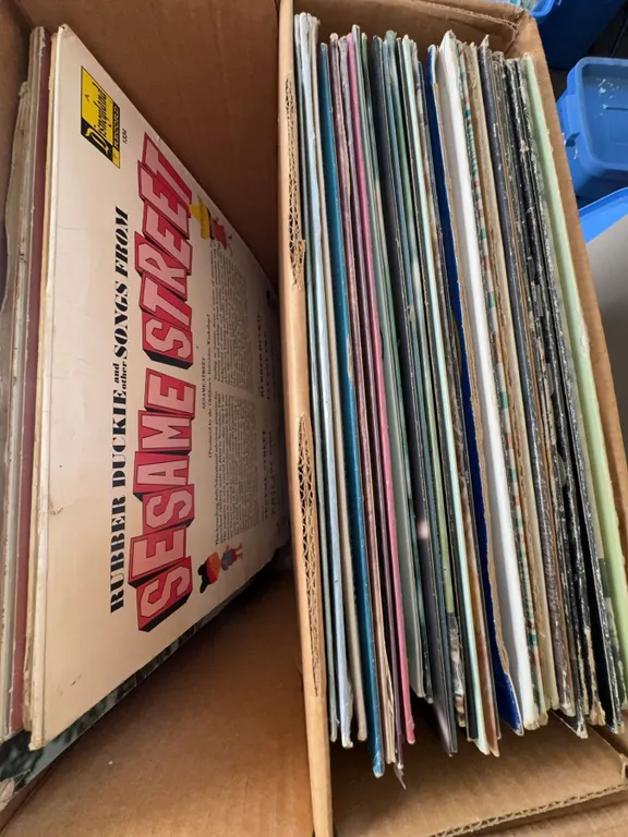 Box Lot of Assorted Vinyl LP Records Including Sesame Street, Sons of the Pioneers, Tammy